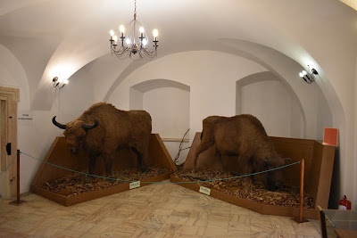 Muzeul Civilizației Dacice și Romane — fotografia 5