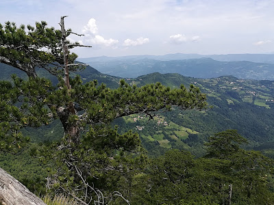 Observation Deck Crnjeskovo — fotografia 4
