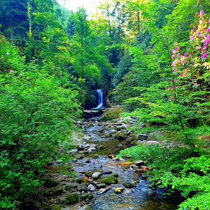 Geroldsauer Wasserfall — fotografia 3