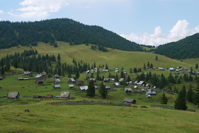 Poiana Călineasa