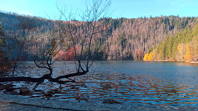 Černé jezero — fotografia 2