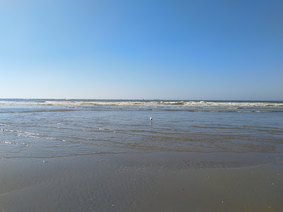 Naaktstrand Scheveningen — fotografia 4