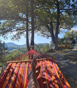 Camping Le Farfalle — fotografia 5