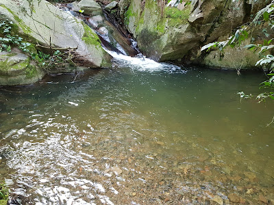 Ruta dels Arbres de Vallcàrquera — fotografia 5