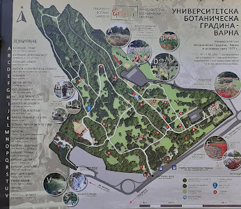 University Botanical Garden Ecopark Varna — fotografia 5