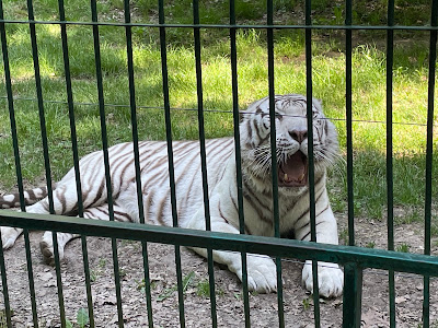 Zoo Sibiu