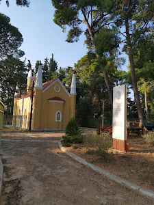 Syggrou Forrest — fotografia 4