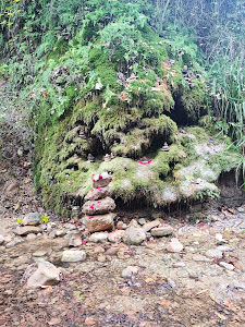 El Torrent de Colobrers — fotografia 5
