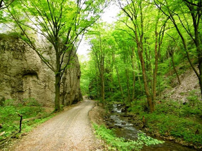 Zádielska gorge — fotografia 5