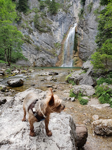 Salza Wasserfall — fotografia 3