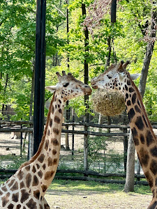 Parcul Zoologic din Szeged