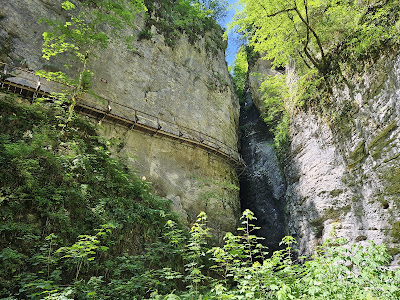 Pokljuka Gorge