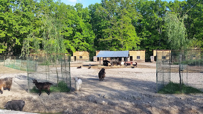 Grădina zoologică Piteşti