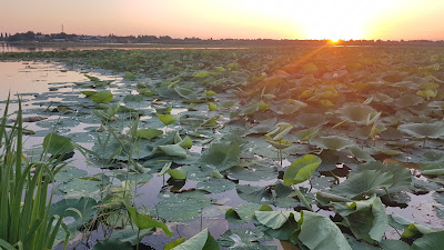 Lacul Snagov — fotografia 4