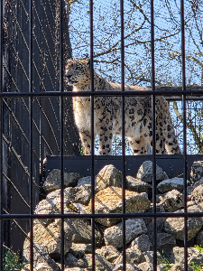 Dierenpark Zie-ZOO — fotografia 5