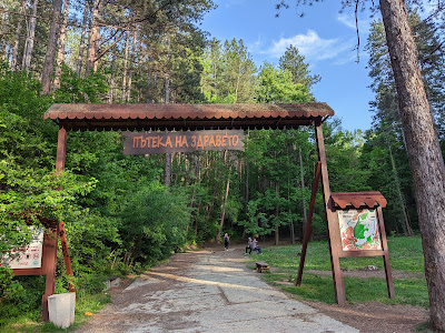 Path of Health