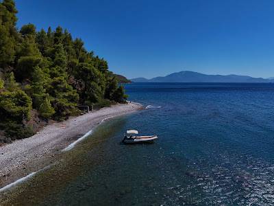 Beach Dafni of Evia — fotografia 3