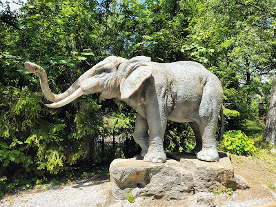 ZOO in Spišská Nová Ves — fotografia 5