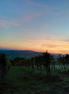 Bellevuewiese — fotografia 5