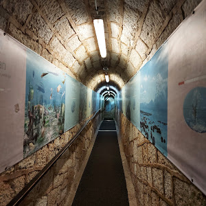 Aquarium | Pula — fotografia 4