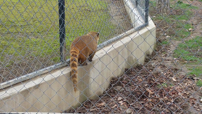 Pécs Zoo — fotografia 2