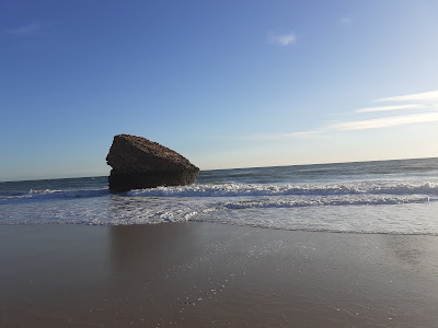 Matalascañas Beach — fotografia 3