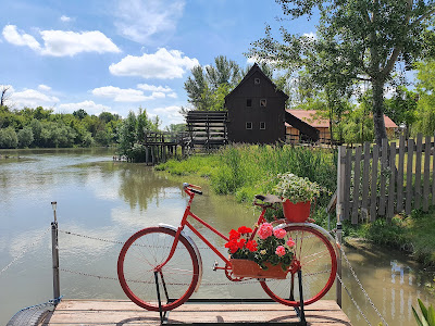 Water Edge-Runner Mill Jelka — fotografia 4