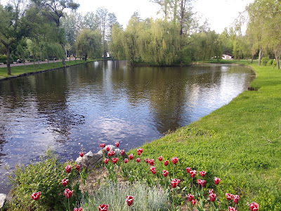 Parcul Ștrand — fotografia 5