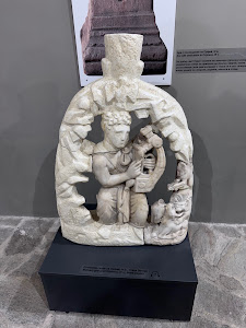Regional Museum Of History Stara Zagora — fotografia 4