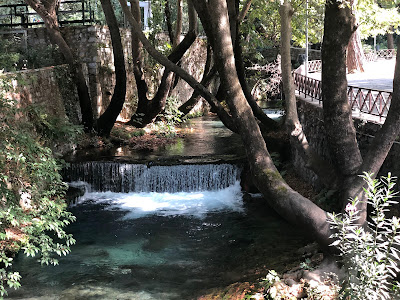Krya Park — fotografia 5
