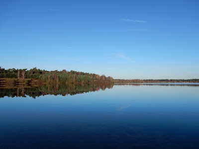 De Maasduinen National Park — fotografia 4