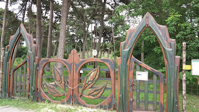 Tamariska-domb Természetvédelmi Terület