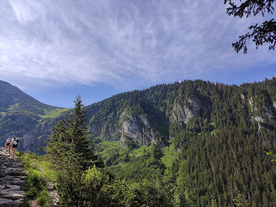 Szlak pieszy żółty — fotografia 3