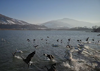 Pângărați — fotografia 3