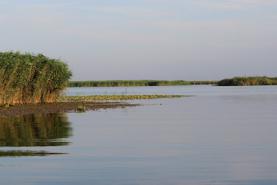 Lacul Roşu