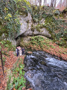 Pliva Springs