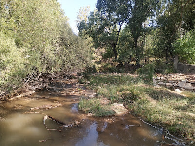 Ruta por el río Guadalquivir — fotografia 4