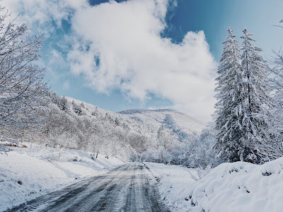Zona turistică Valea Avrigului — fotografia 5