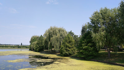 Parcul Dendrologic — fotografia 4