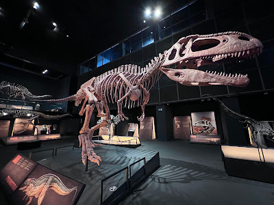 CosmoCaixa Museum of Science — fotografia 4