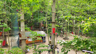 Rope Park Rewal Gibbon — fotografia 5