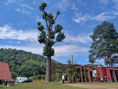 Camping Wlen Zarzecze — fotografia 5