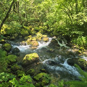 Izvir Glijuna