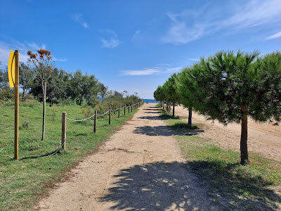 Platja del Cavalló — fotografia 5