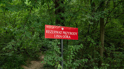 Nature Reserve: Lisia Góra