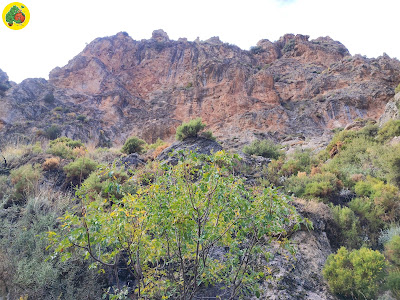 Sendero Nuevo Acceso A Los Cahorros Por cauce Rio Monachil — fotografia 5
