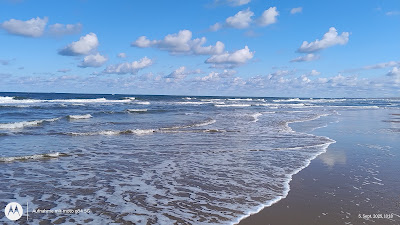 Naaktstrand Scheveningen — fotografia 5