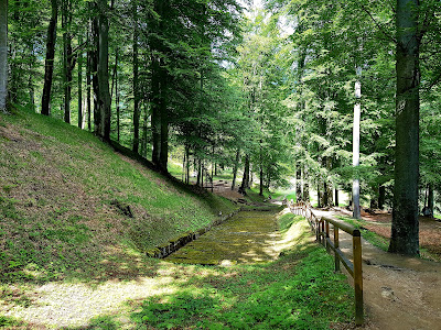 Parcul Natural Grădiștea Muncelului-Cioclovina — fotografia 5