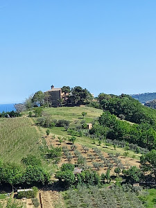 Fortezza Medievale di Acquaviva Picena — fotografia 5