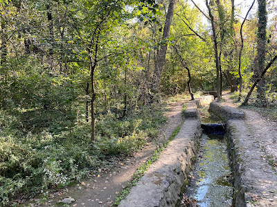 Byford's Forest